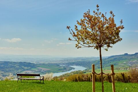 Ausblick von Klostergarten in Maria Taferl auf Donau und Nibelungengau