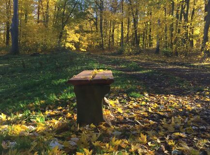 Herbstlicher Stadtpark in Eisenach