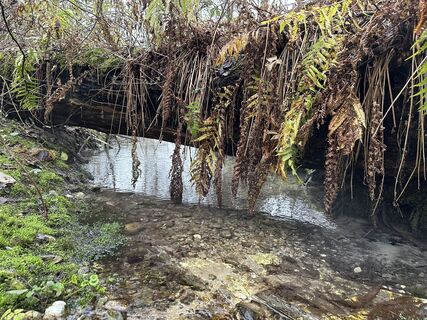 Zdjęcie z Babs Holz wzdłuż trasy