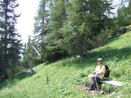 Trenchtling / Edelweißwiese