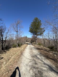 Foto von Davidecocchi entlang der Tour
