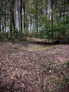 Fotografija s spletne strani Kellner Heidi na poti