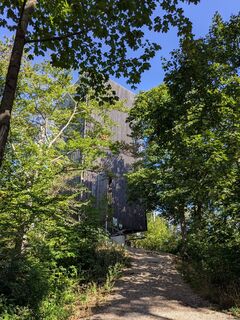 Photo de Martina Braunstein-Lamatsch le long du parcours
