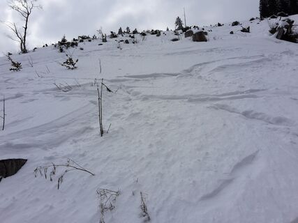 Aufstieg Sohlenkogel