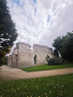 Zdjęcie z Katona Ferk Mariann wzdłuż trasy