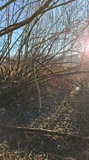 Fotografija s spletne strani Mangolein na poti