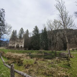 Fotografia z Sonja Enzenhofer na trase