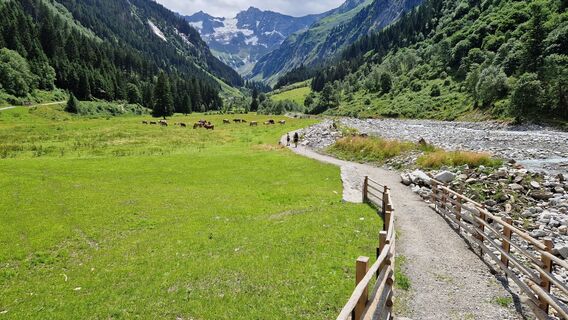 Foto från Gerrit van der Linde under resans gång