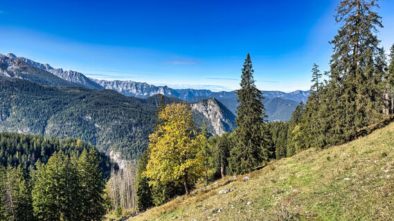 Foto de Berchtesgaden TV a lo largo del recorrido
