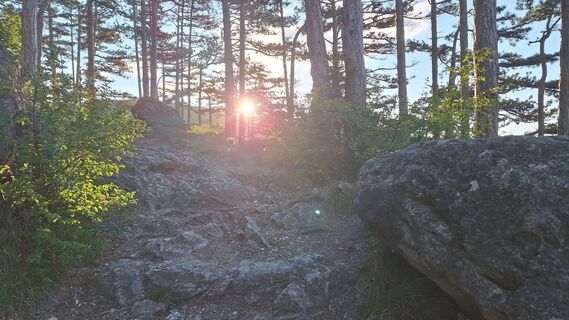 Fotografia z Reinlinde Trummer Milkovits na trase