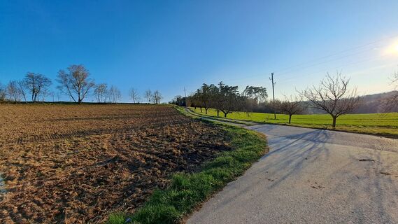 Feldweg zum Dachberg