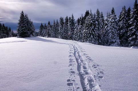 Hochwechsel _Oststeiermark