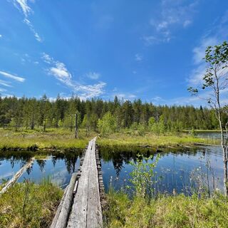Steg bei Kivilampi