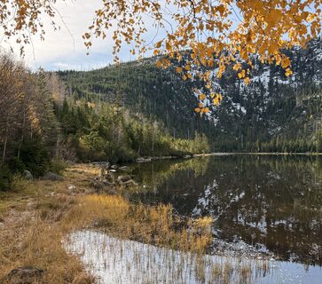 Photo de Natur_erleben_dg le long du parcours