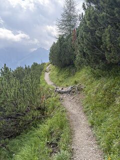 Fotografia z Domenik Ost na trase