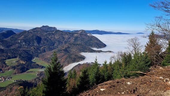 Fotografija s spletne strani Gerhard Faugel na poti
