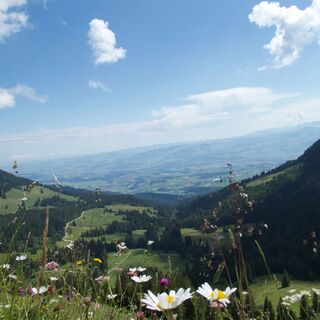 Blick ins Mittelland - Rundwanderung Gürbequelle
