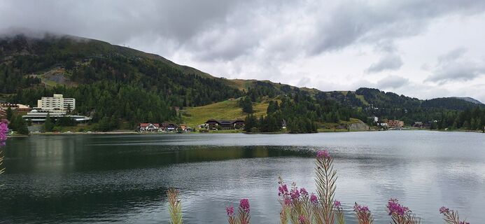Photo de Fhutter le long du parcours