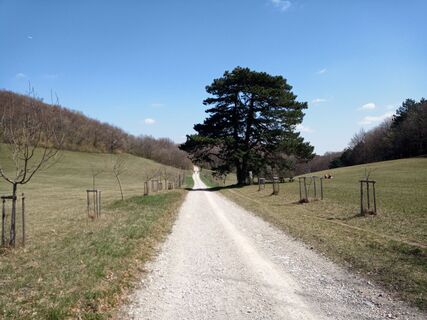Foto von bremsrad entlang der Tour