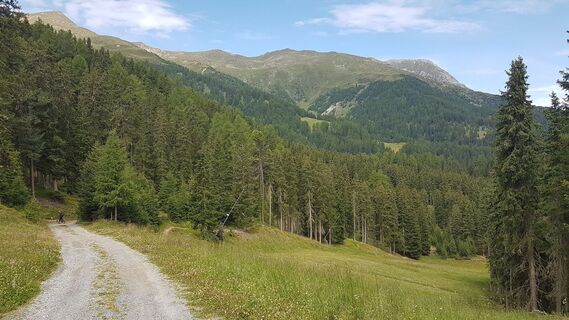 3.3 km Wiesentrail und Schotterstraße