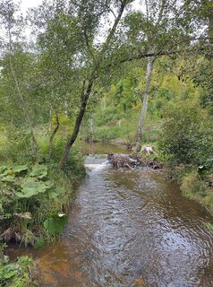 Foto da Nicole Wöhrle lungo il tour