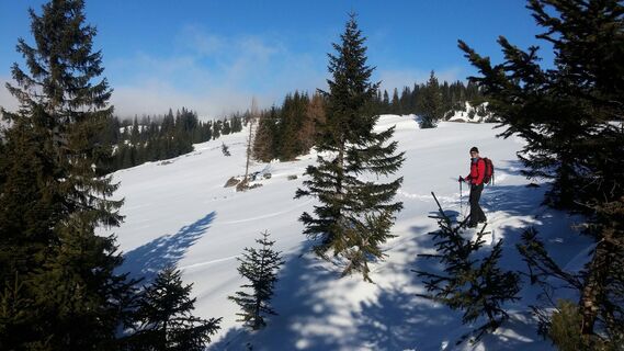 Übergang zw. Brunnsteinalm und Region um Breimauer