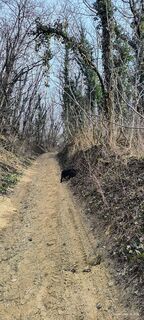 Zdjęcie z Jenő Németh 1 wzdłuż trasy