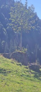 Fotografie z Bps Wiedemann na trase
