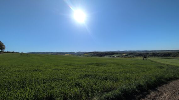 Foto de kakus a lo largo del recorrido