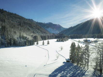 Stocker und Zipflwirt