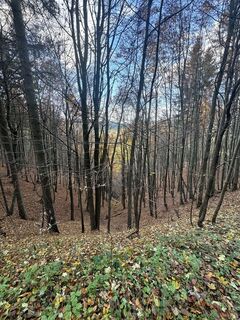 Foto från Luděk Přibyl under resans gång