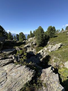 Foto von Aleksandar Radivojević entlang der Tour