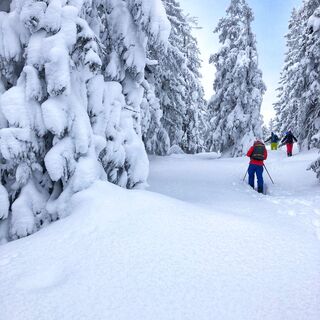 Skitour