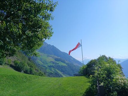 Photo de Luca Dainese le long du parcours