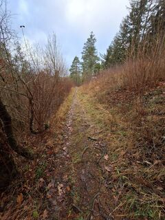 Zdjęcie z Hermann E. wzdłuż trasy