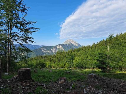 Foto van Daniel Wagner langs de tour