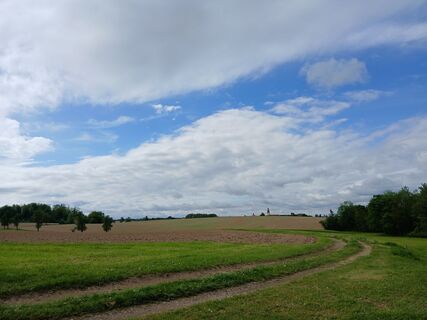 Photo de Barbara Wolfgang Baumann le long du parcours