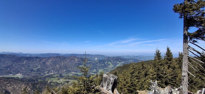 Foto von Wallner Sylvia entlang der Tour