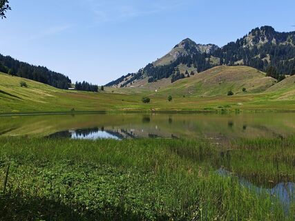 Photo de mitjavodeb le long du parcours