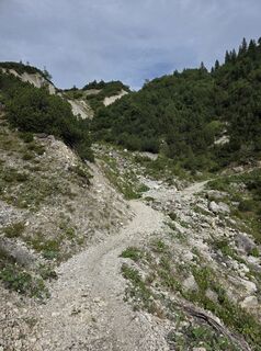Photo de Rainer Kiening le long du parcours