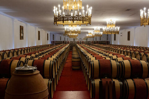 49231434188_125f630098_c