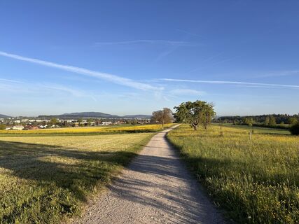 Foto von Pascal Oliver Hauser entlang der Tour