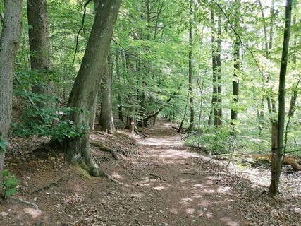 Am Feilbach vorbei zum Brückweiher