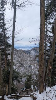 Photo de Stubi le long du parcours
