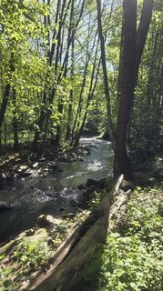 Fotografia z Dietmar Herrenschmidt na trase