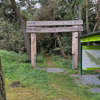 Naturpark-Tor Oberweißbach