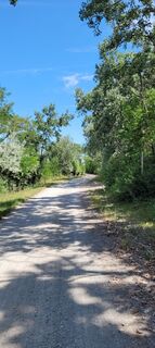 Foto de Nicky a lo largo del recorrido