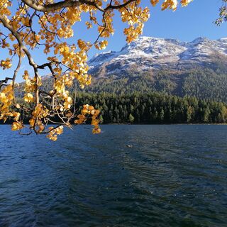 St. Moritzersee