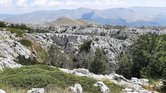 Foto von Aga M entlang der Tour