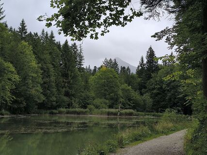 Photo de Matthias Erl le long du parcours